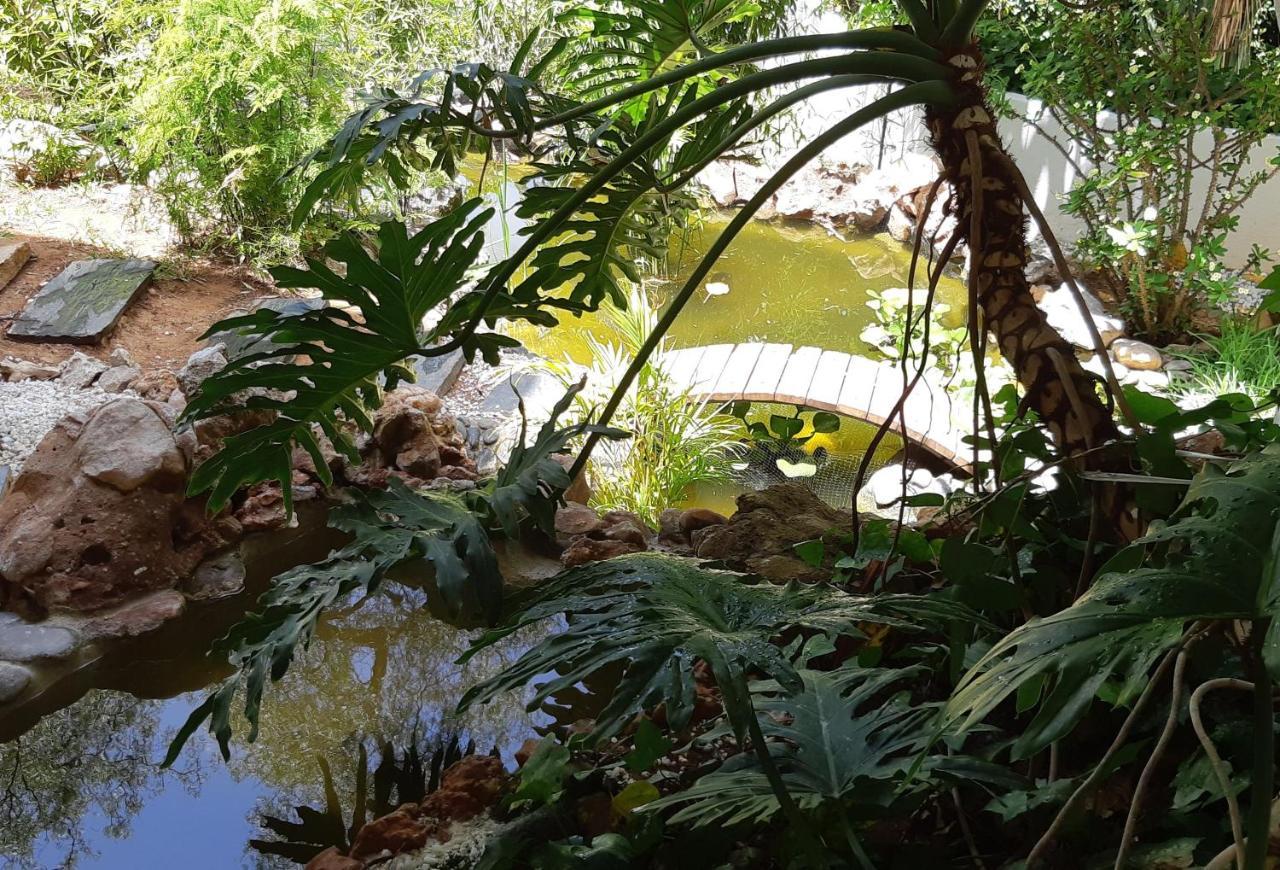 Villa Tortuga Marbella Eksteriør billede