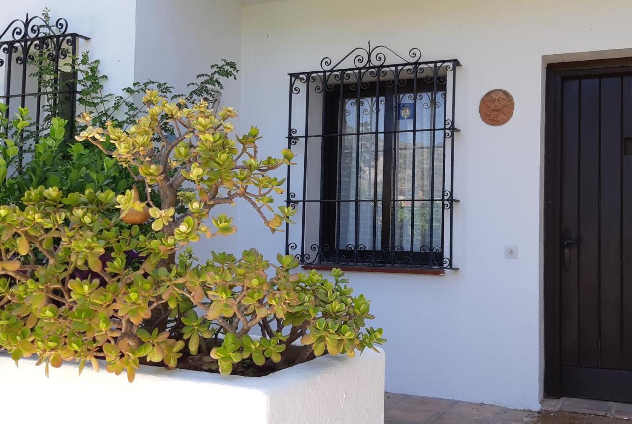 Villa Tortuga Marbella Eksteriør billede