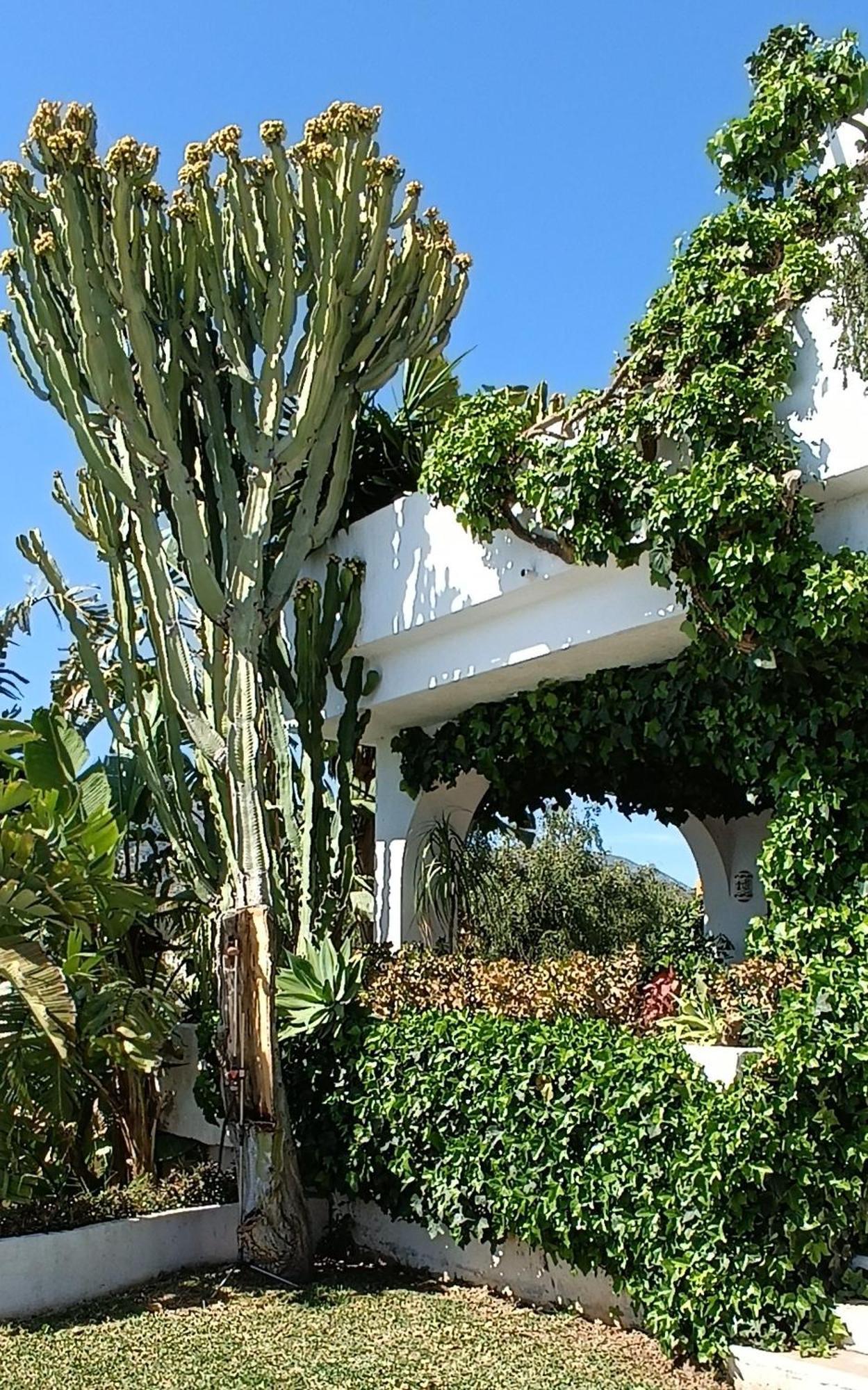 Villa Tortuga Marbella Eksteriør billede