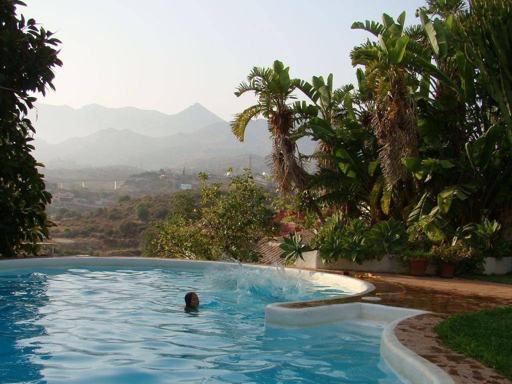 Villa Tortuga Marbella Værelse billede